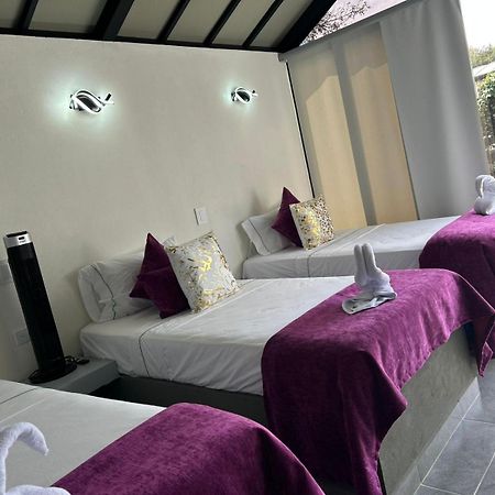 Star Center Hotel Boutique 里奥内格罗 外观 照片