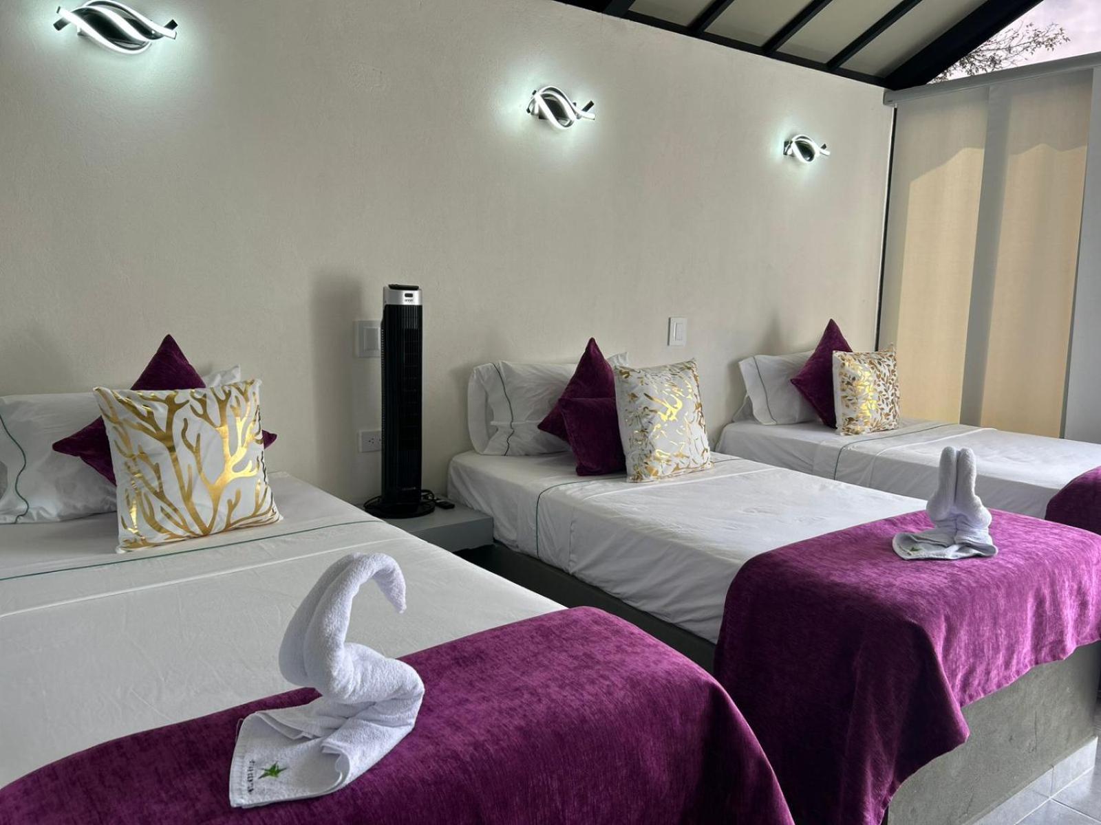 Star Center Hotel Boutique 里奥内格罗 外观 照片